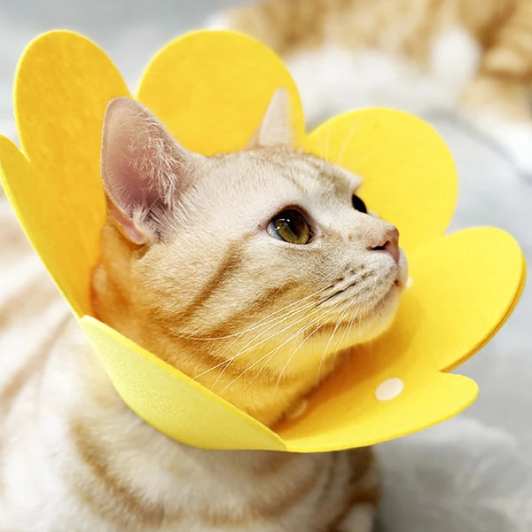 Soft Flower Recovery Collar for Cats and Small Dogs