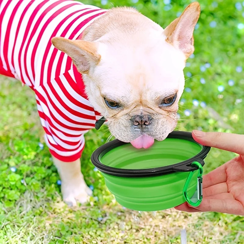 Collapsible Silicone Travel Bowl with Clip