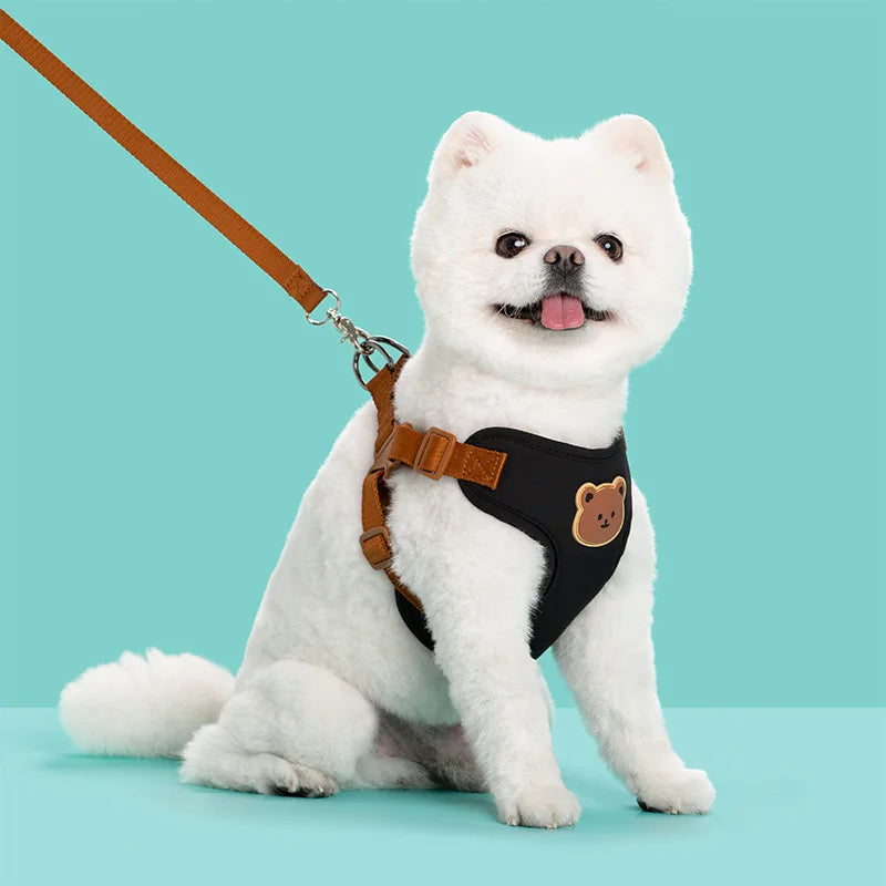 Plaid Harness and Lead Set for Small Dogs and Cats - Black / XS