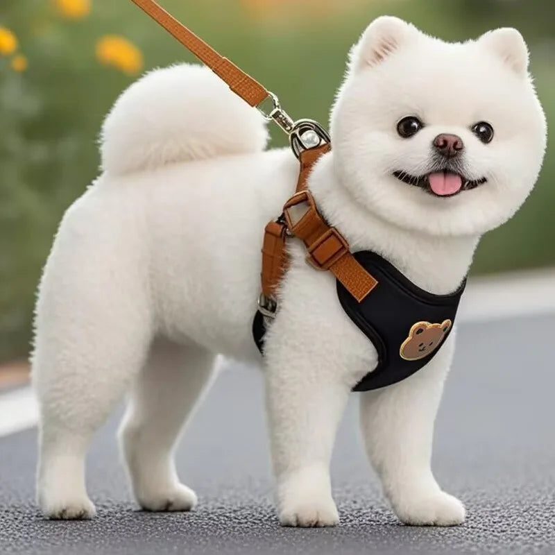 Plaid Harness and Lead Set for Small Dogs and Cats