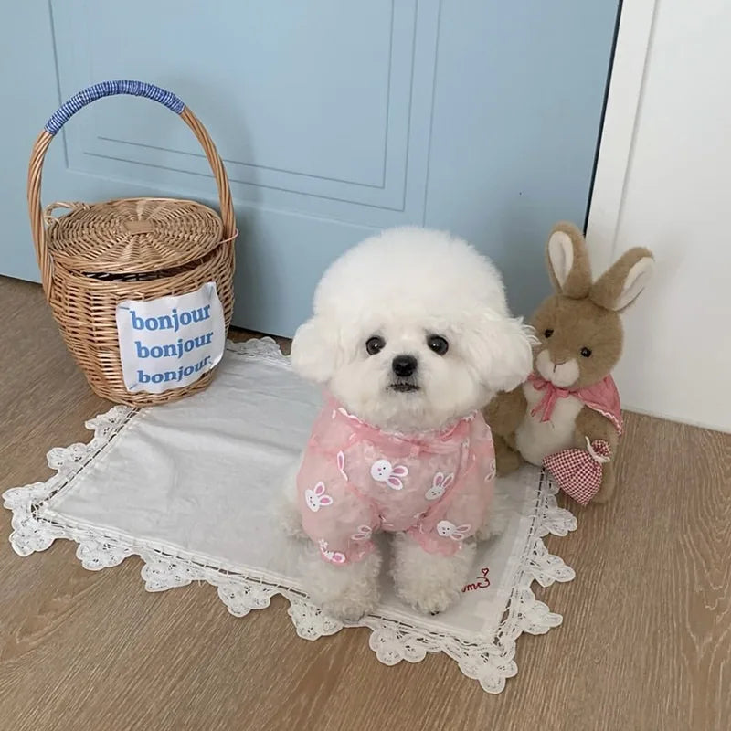 Mesh Four-Leg Summer Jumpsuit for Small Dogs