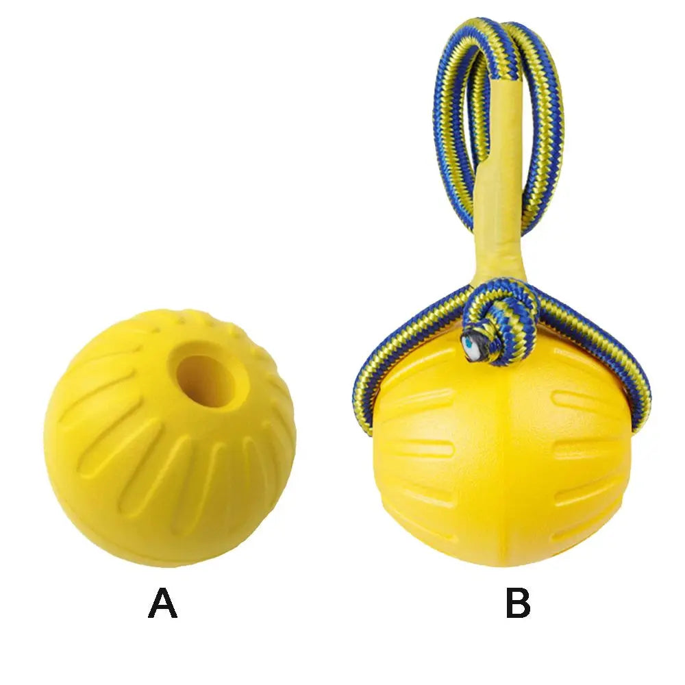 Rubber Ball on a Rope for Dogs