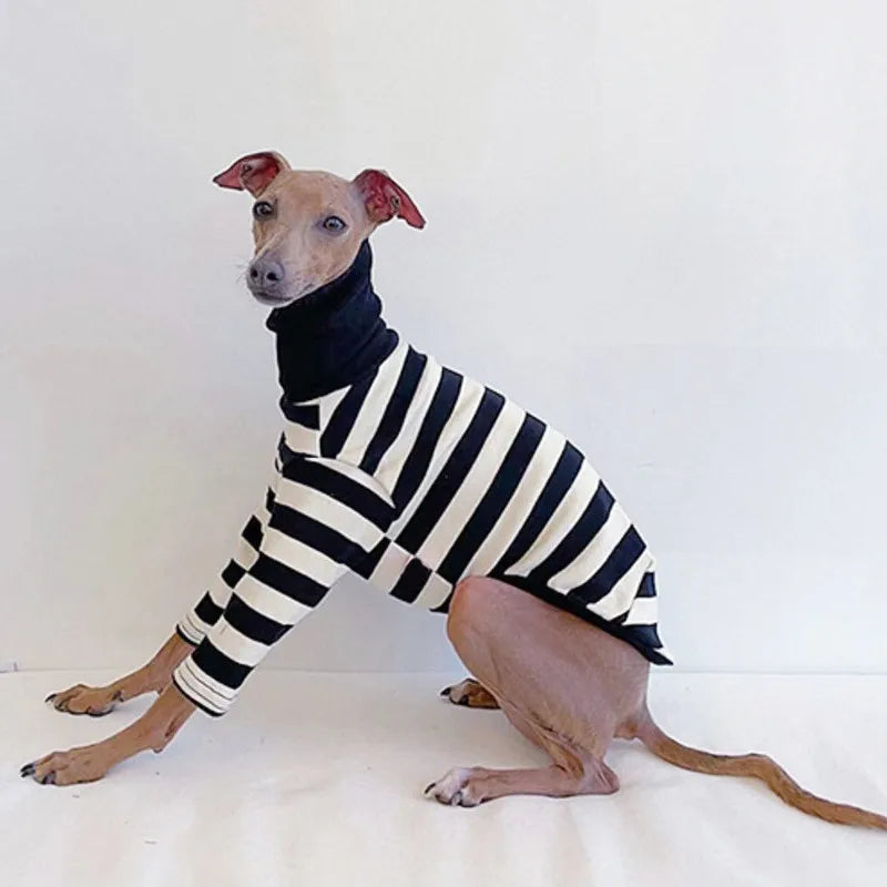 Striped Roll-Neck Top for Greyhounds