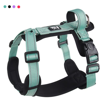 Padded Dog Harness with Handle, Lead Option