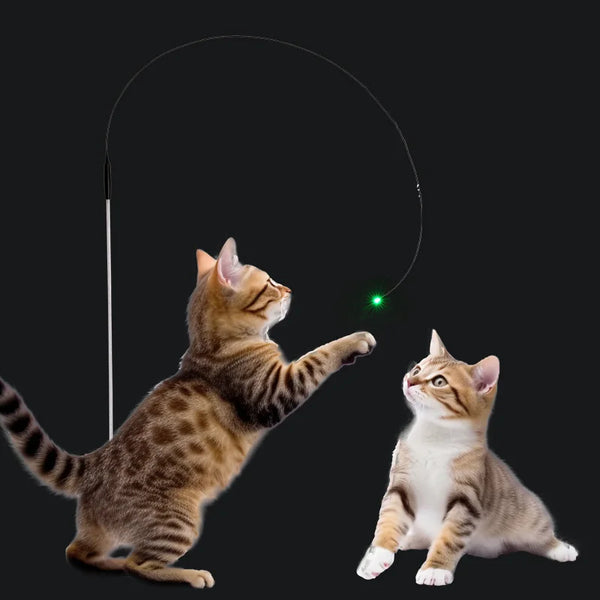 LED Light Cat Teaser Wand