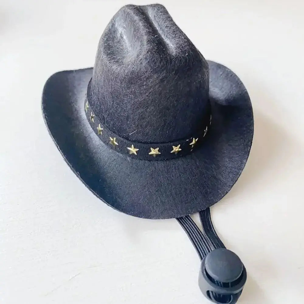 Cowboy Hat for Cats and Small Dogs