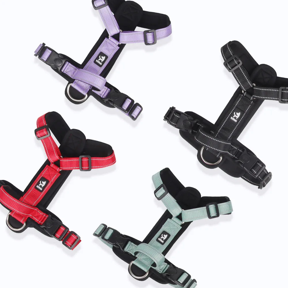 Padded Dog Harness with Handle, Lead Option