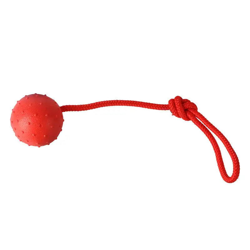 Ball on a Rope Dog Toy