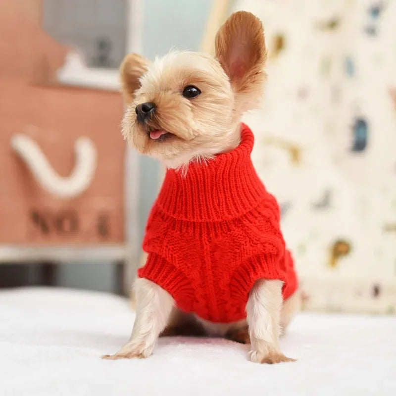 Knitted Dog Jumper for Small Dogs