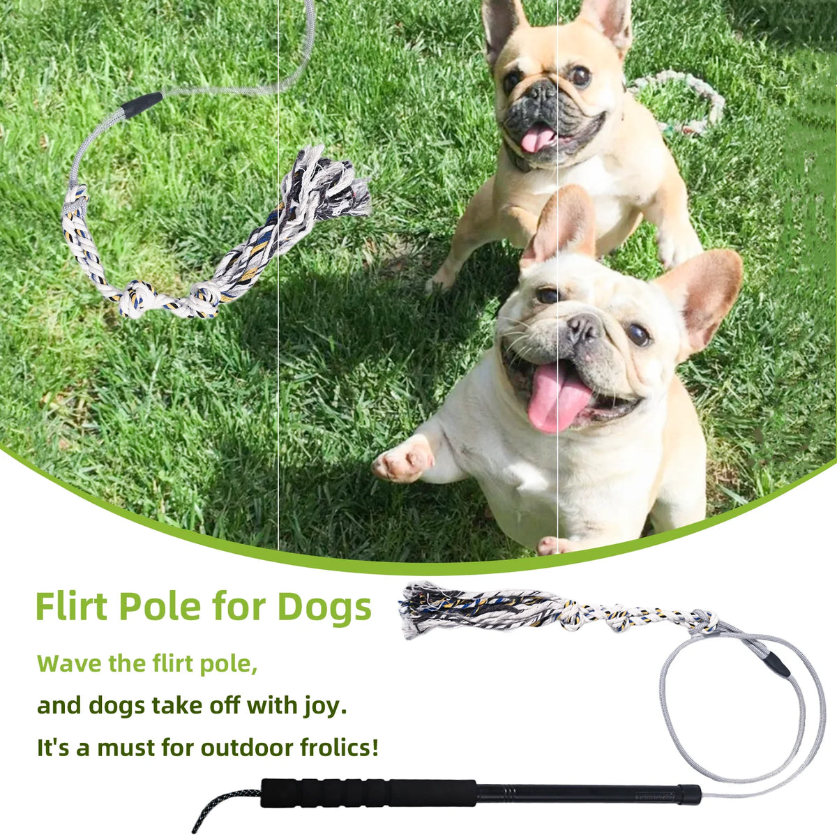 Flirt Pole Dog Toy