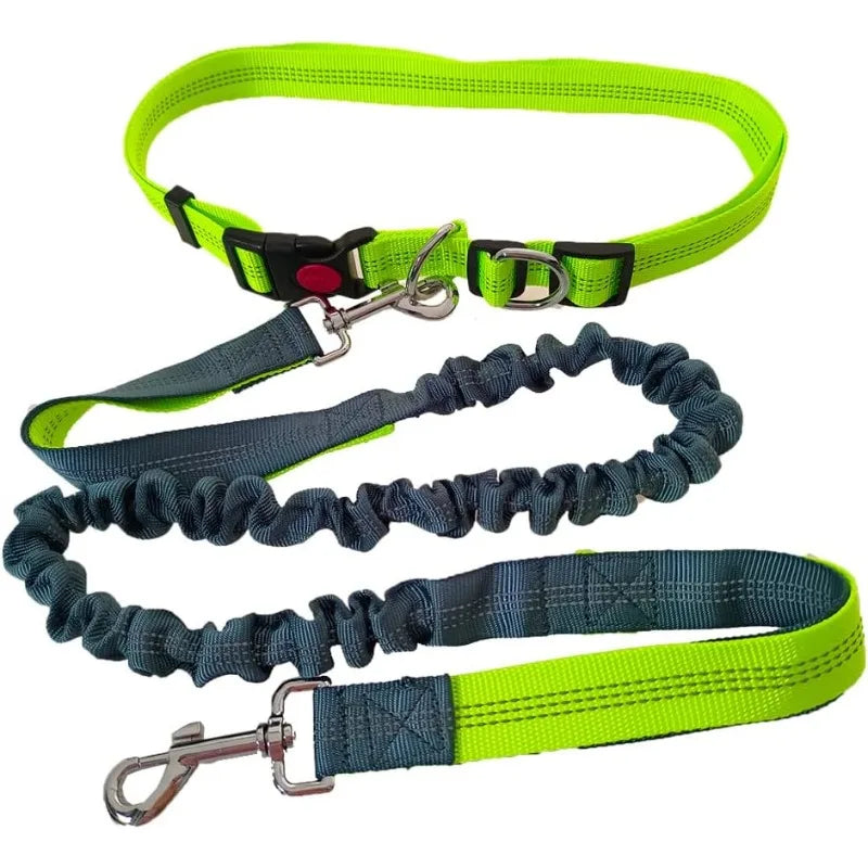 Hands-Free Waist Lead