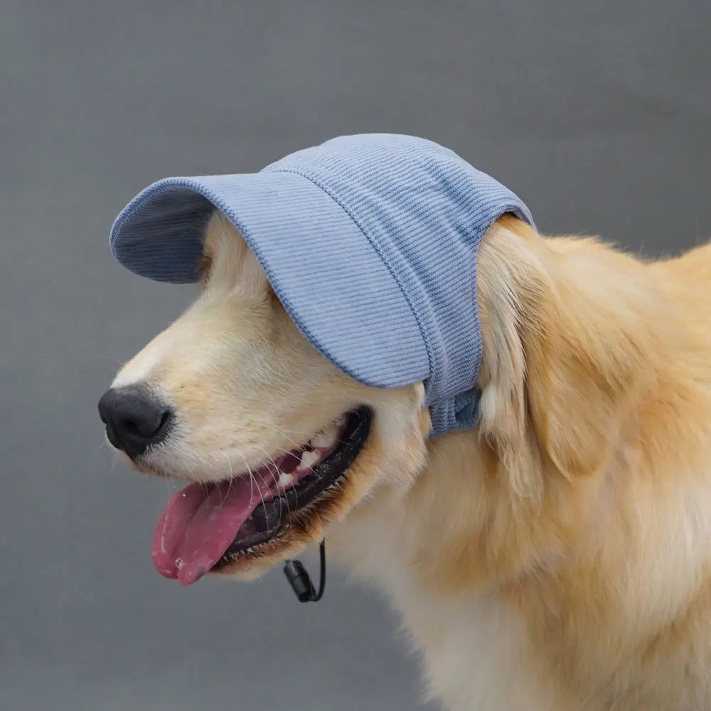 Corduroy Baseball Cap for Dogs
