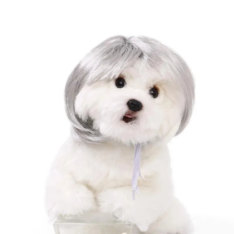 Bob Wig for Pets