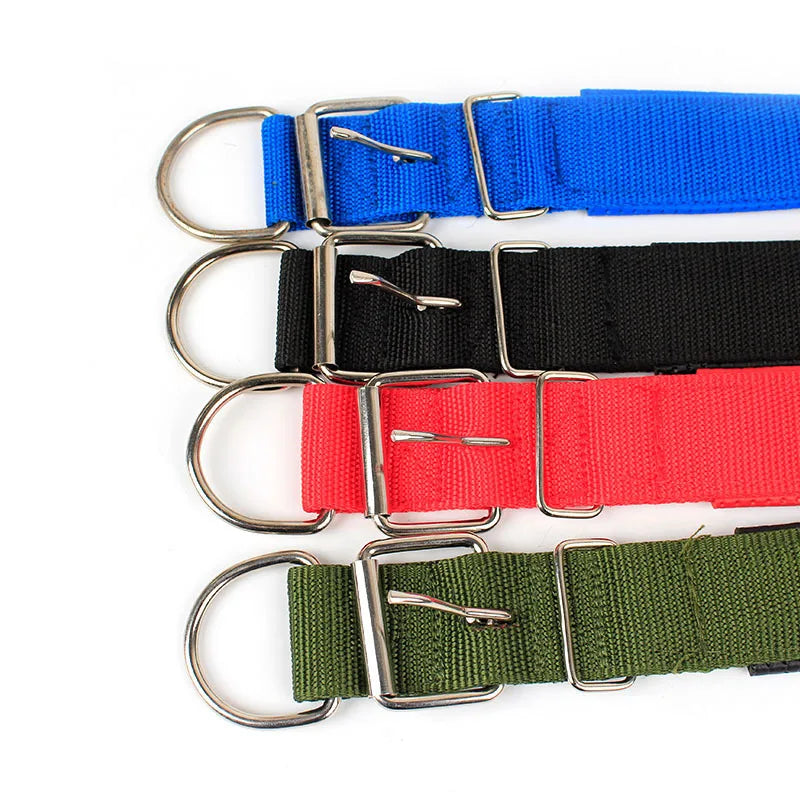 Wide Nylon Dog Collar, Small to Large Dogs