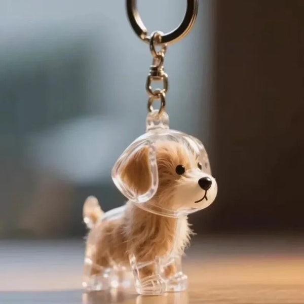 Clear pet keepsake capsule keyring
