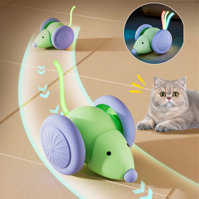 Electric Mouse Car Cat Toy, Rechargeable