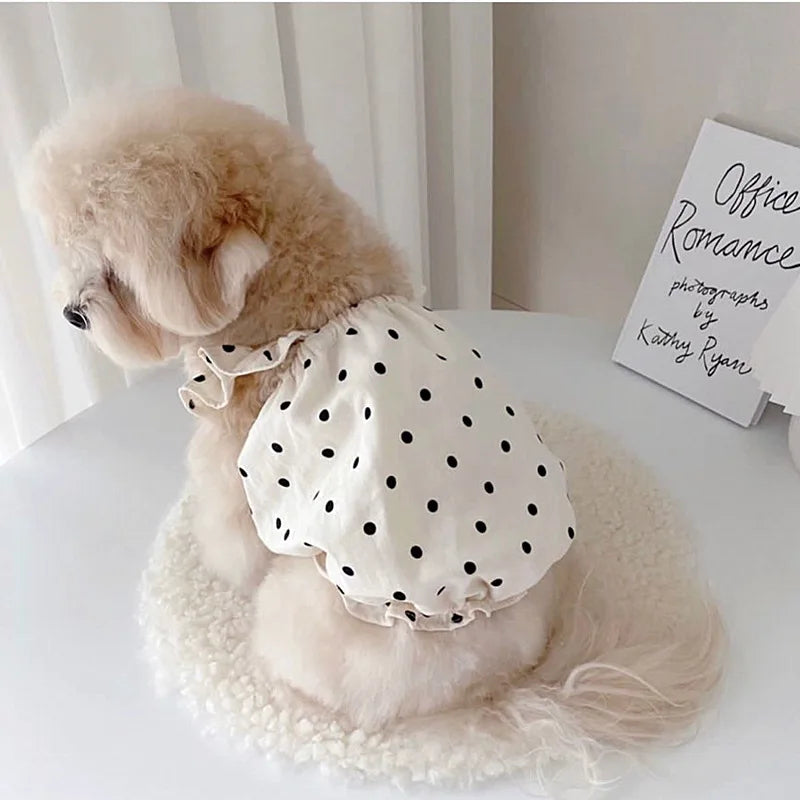 Polka Dot Summer Dress for Small Dogs