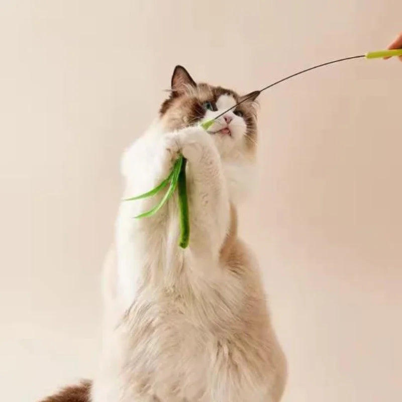 Grass Blade Cat Teaser Wand