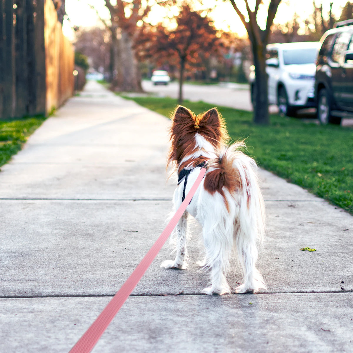 Waterproof PVC Dog Lead