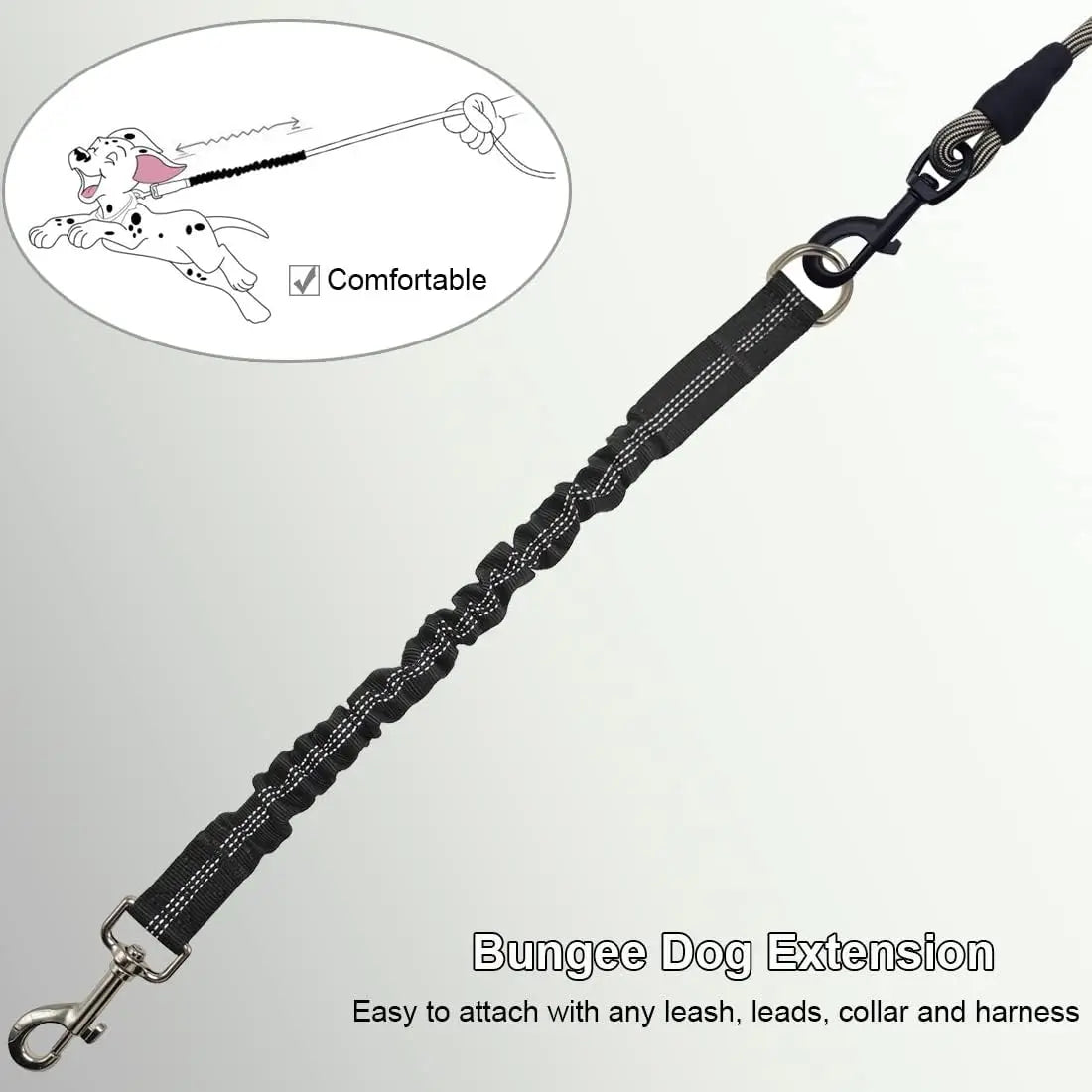 Bungee Lead Extension