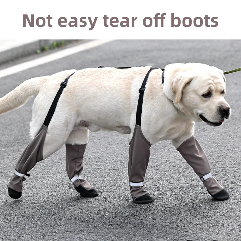 Suspender Dog Boots