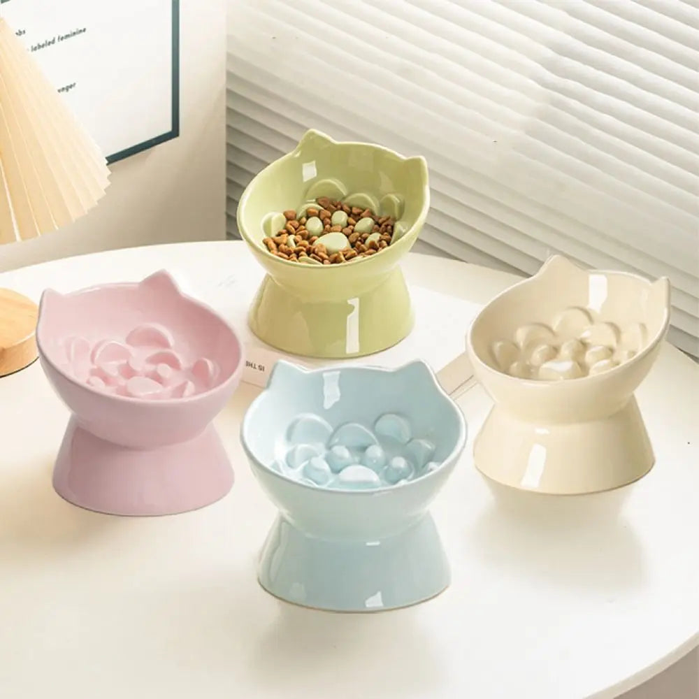 Raised Ceramic Slow Feeder Bowl