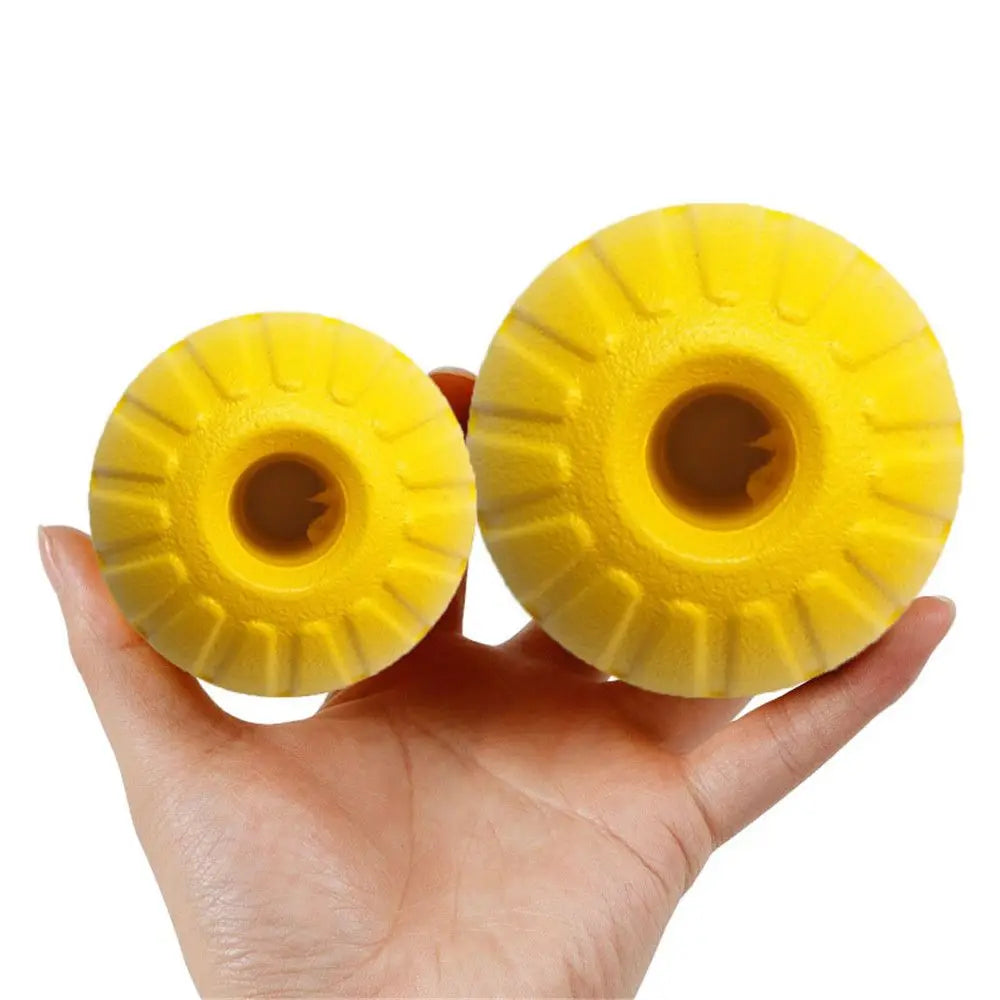 Floating Foam Fetch Ball