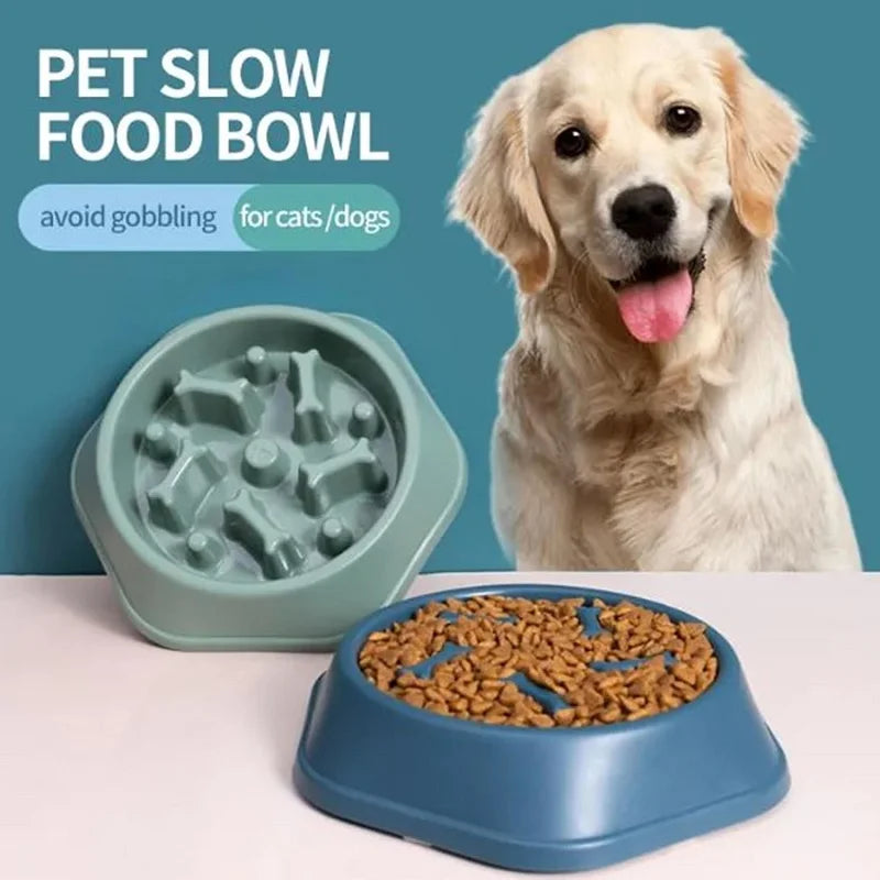 Slow Feeder Dog Bowl