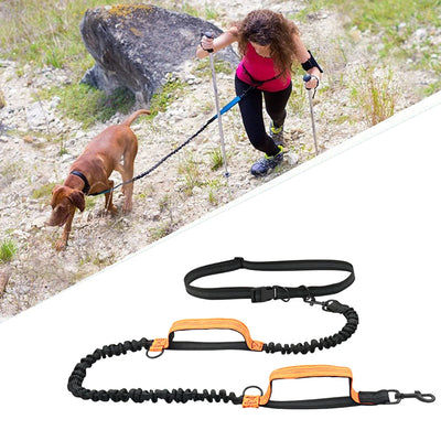Hands-Free Bungee Running Lead