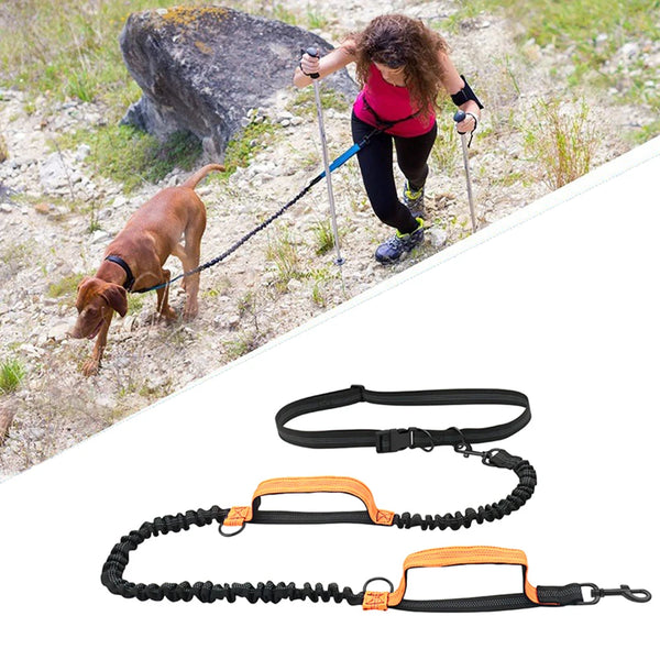 Hands-Free Bungee Running Lead