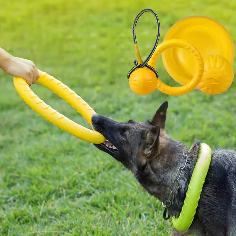 Foam Ring, Disc and Ball Fetch Toys