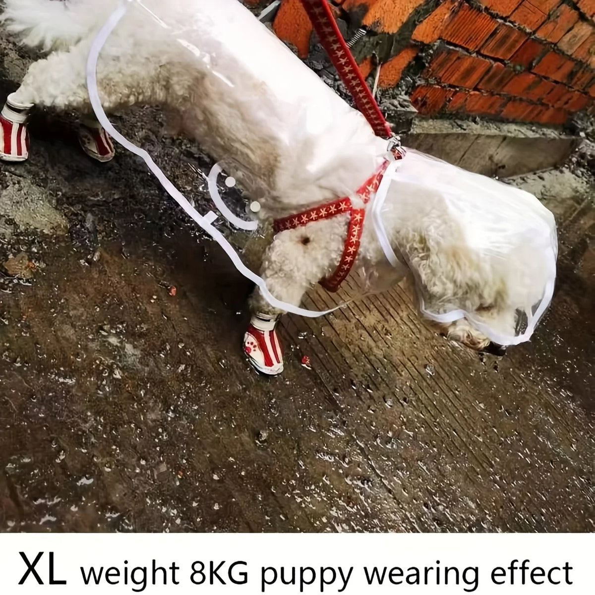 Clear Hooded Dog Raincoat - XL