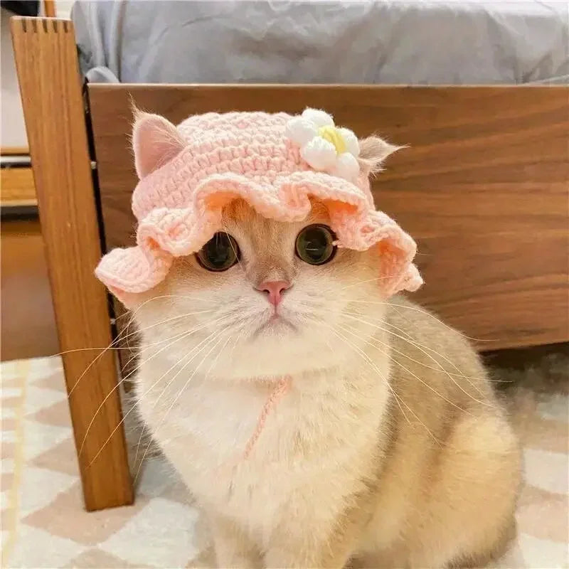 Knitted Hat for Cats and Small Dogs