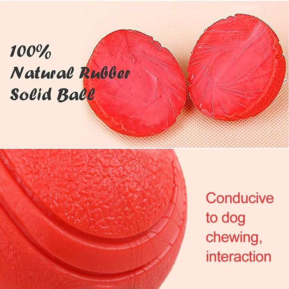 Solid Rubber Fetch Ball