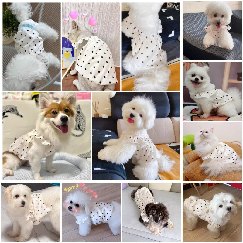 Polka Dot Summer Dress for Small Dogs