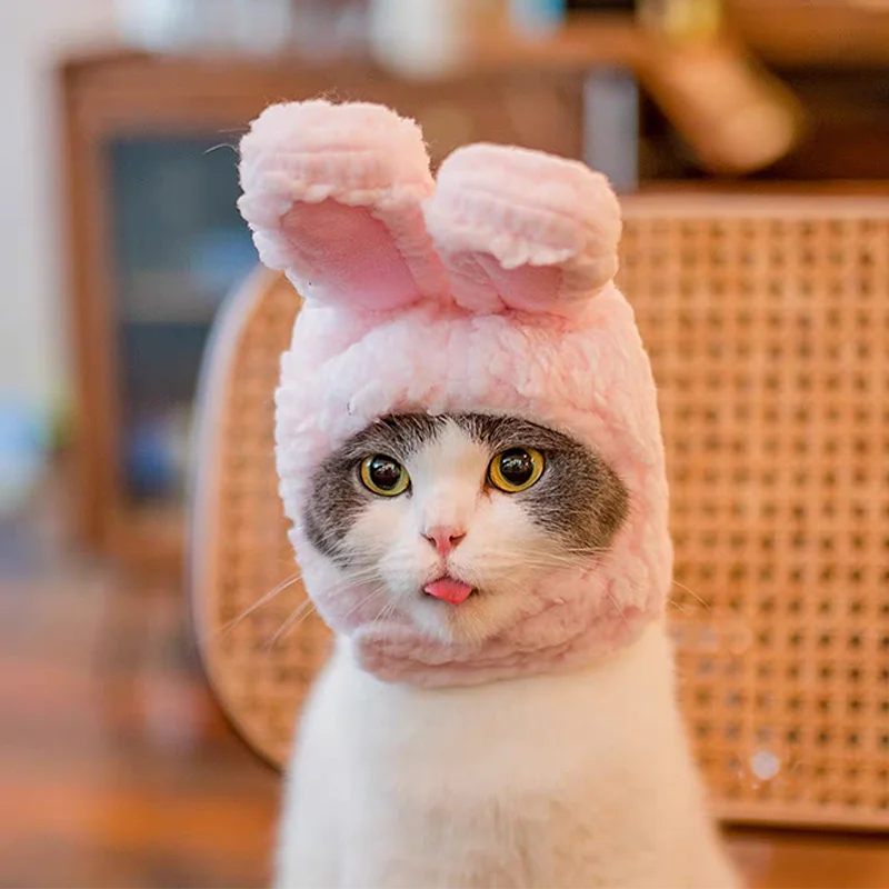 Bear and Bunny Hood Hat for Cats