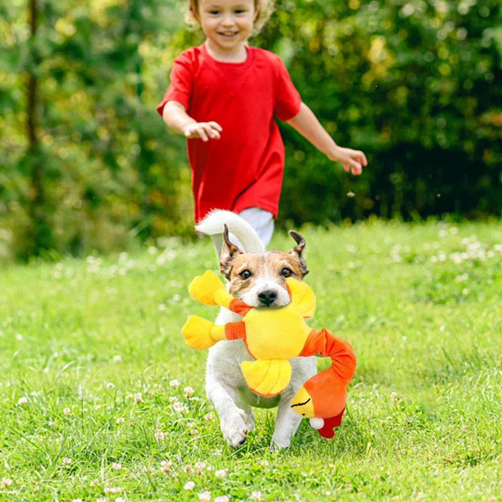 Squeaky Plush Parrot Dog Toy