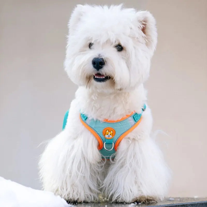 Reflective No-Pull Dog Harness and Lead