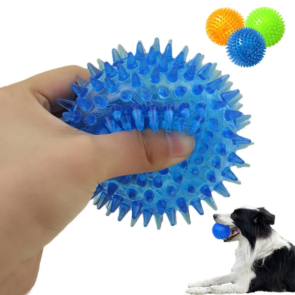 Spiky Squeaky Ball for Dogs