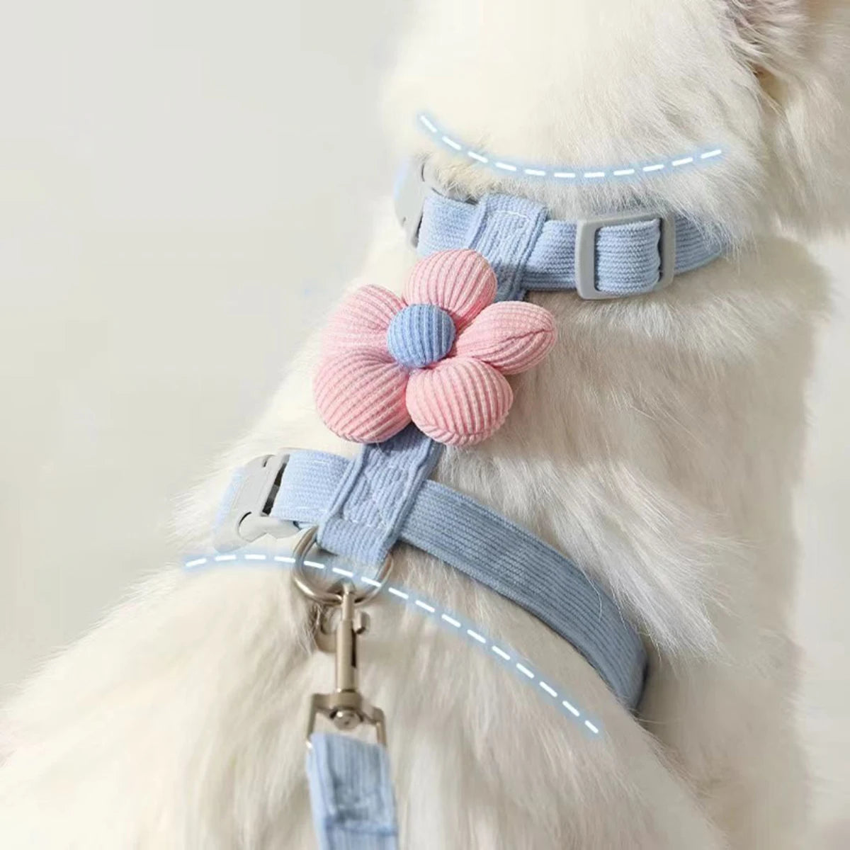 Cute Harness and Lead Set for Cats and Small Dogs