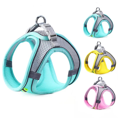 Reflective Step-In Harness and Lead Set for Small Dogs and Cats