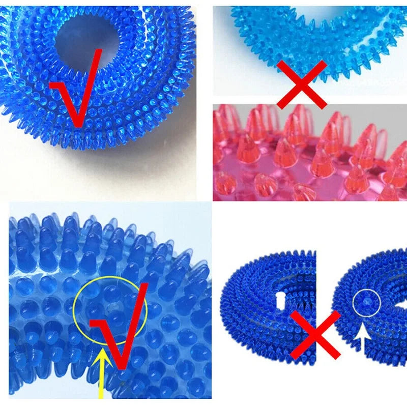 Spiky Ring Squeaky Chew Toy