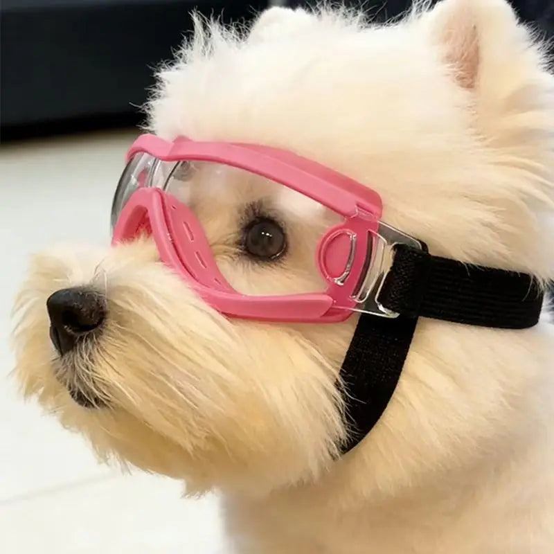 Dog Goggles with UV Protection