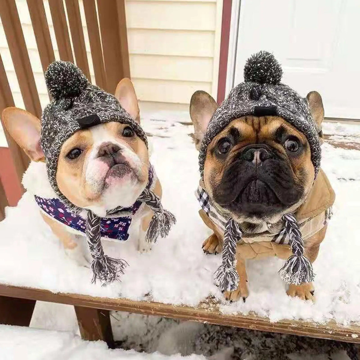 Knitted Bobble Hat for Dogs