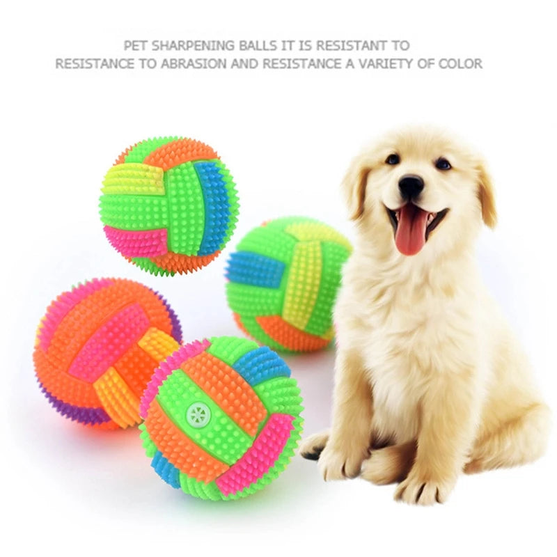 Light-Up Squeaky Ball for Dogs