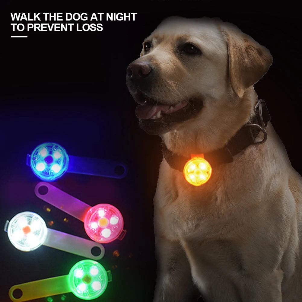 Rechargeable LED Collar Light
