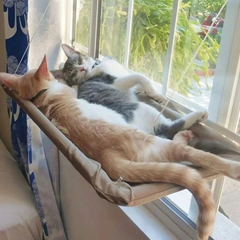 Window Hammock for Cats