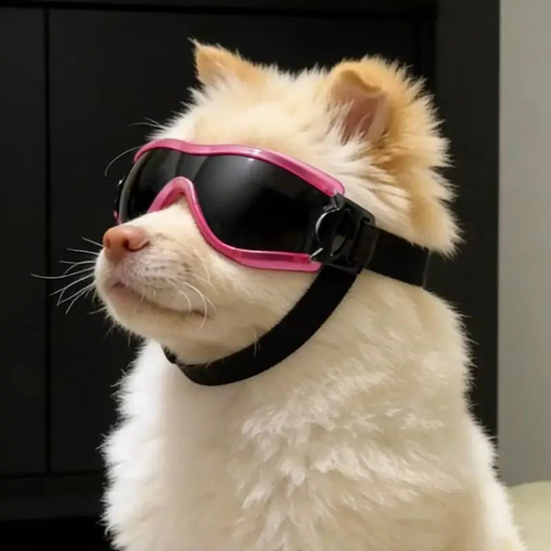 Dog Goggles with UV Protection