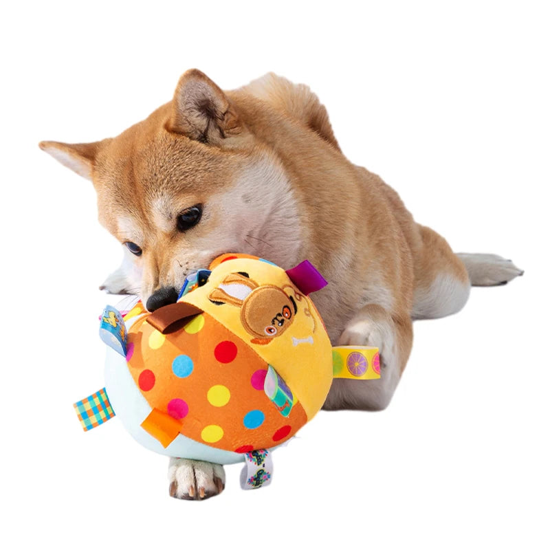 Plush Tag Ball Dog Toy with Squeaker
