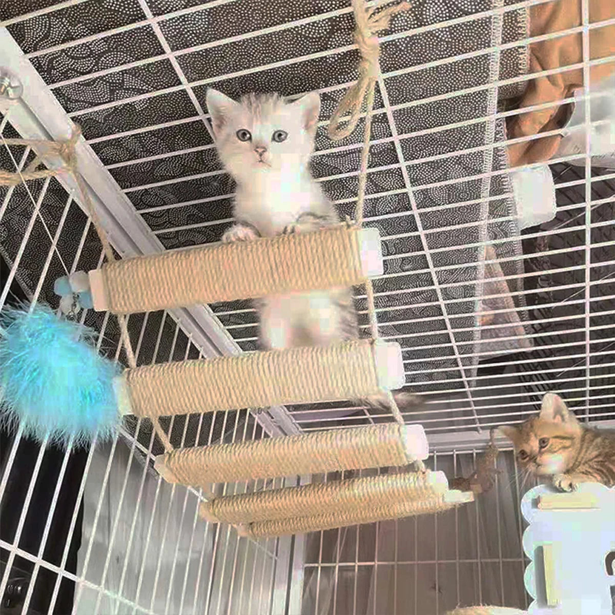 Wooden Cat Ladder Bridge